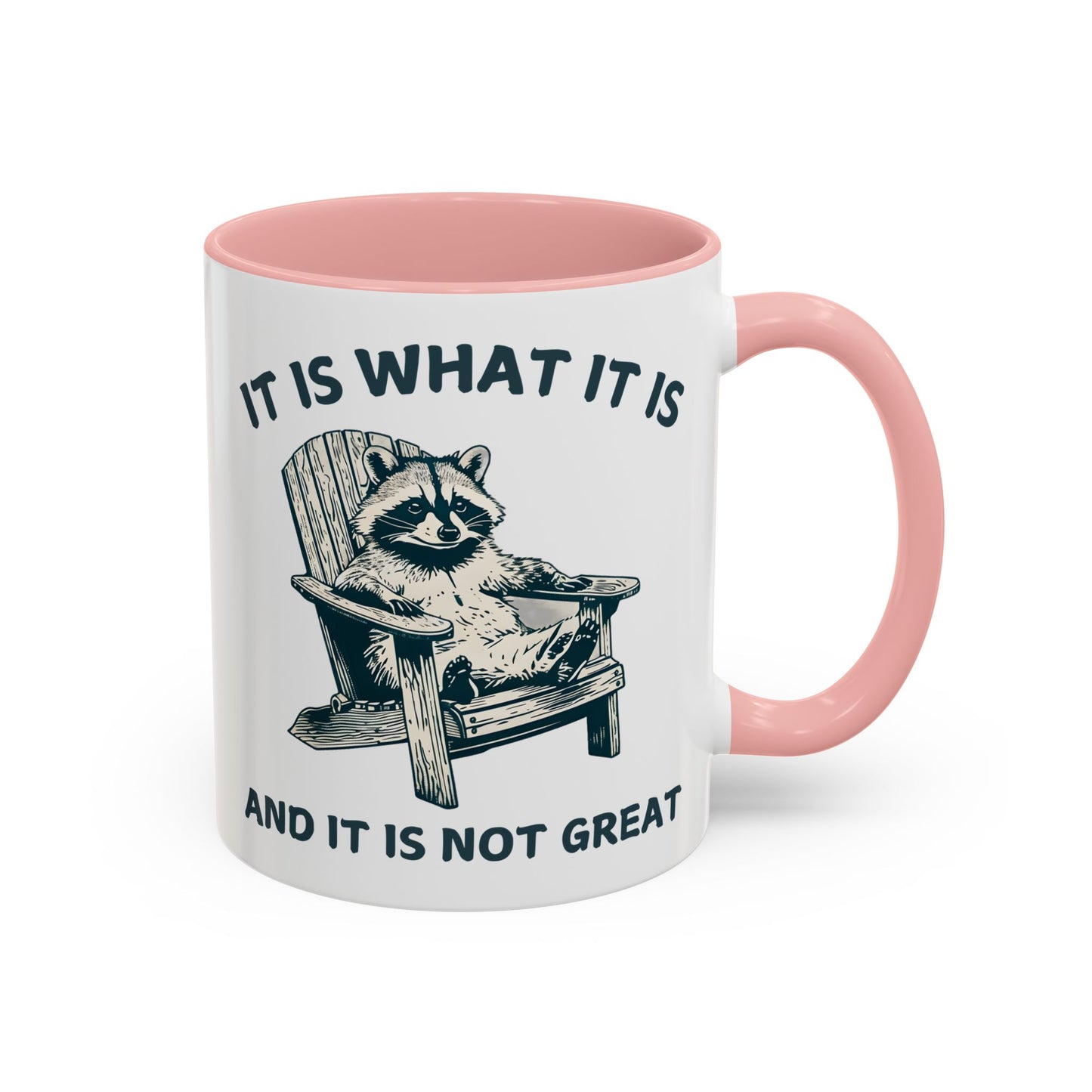 It Is What It Is And It Is Not Great Mug – Funny Raccoon Coffee Mug | Relatable Humor Gift for Adults