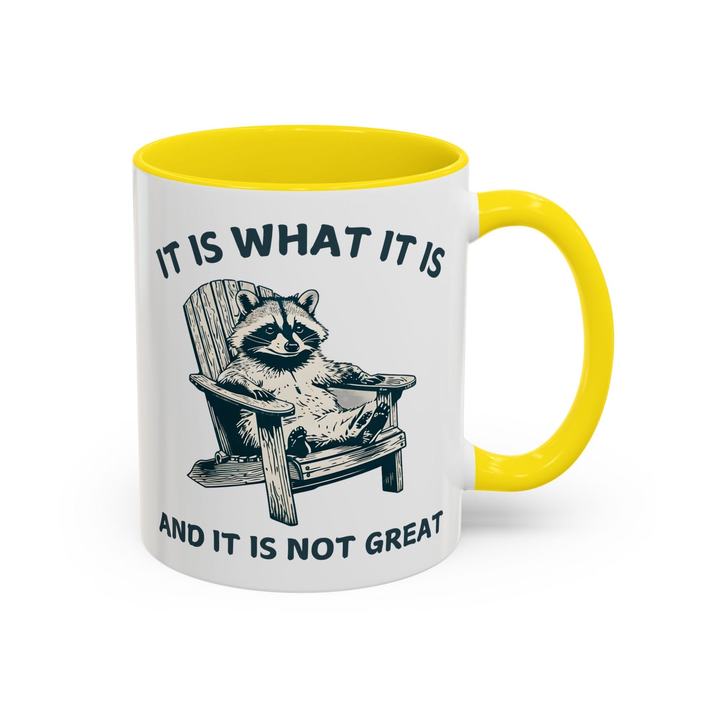 It Is What It Is And It Is Not Great Mug – Funny Raccoon Coffee Mug | Relatable Humor Gift for Adults