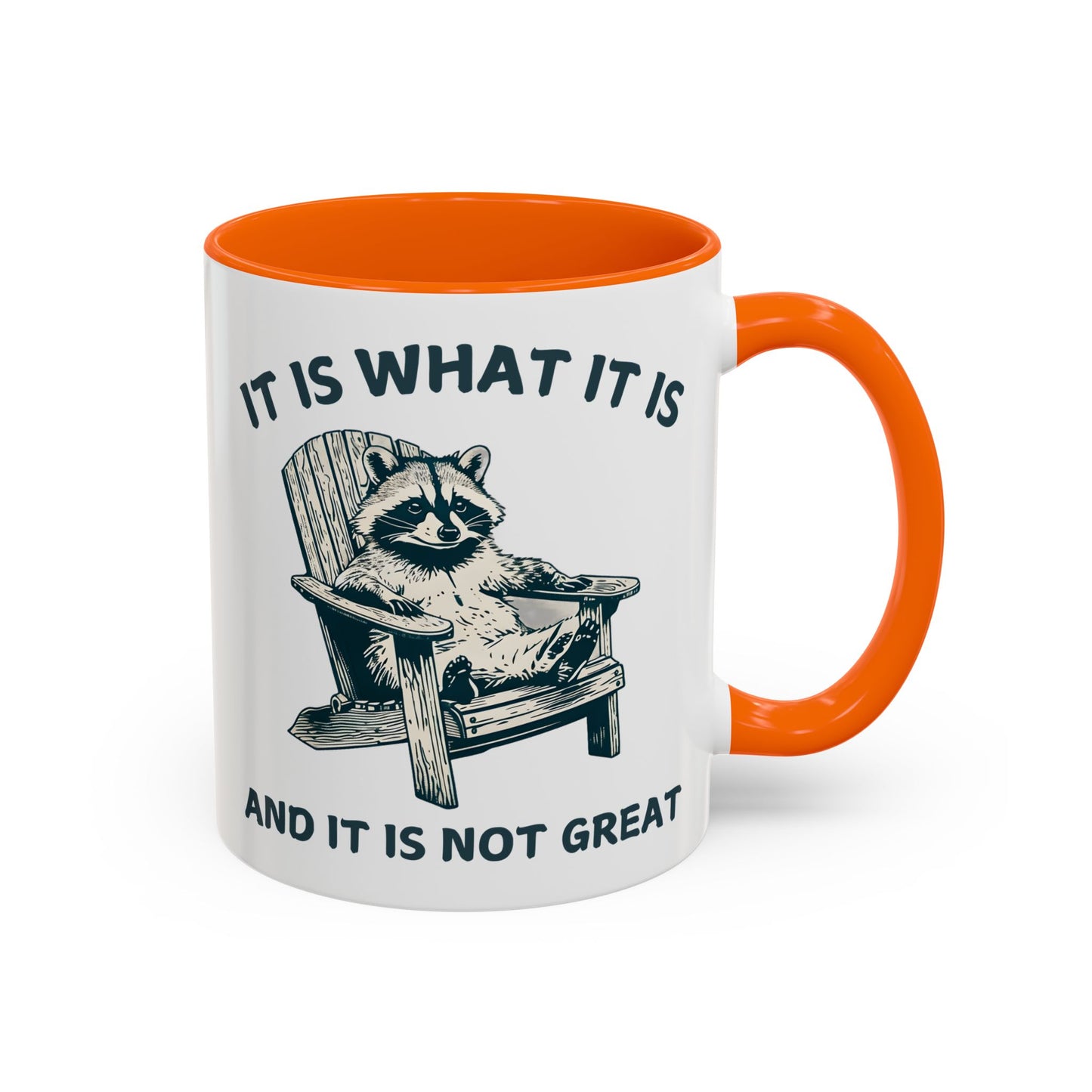 It Is What It Is And It Is Not Great Mug – Funny Raccoon Coffee Mug | Relatable Humor Gift for Adults